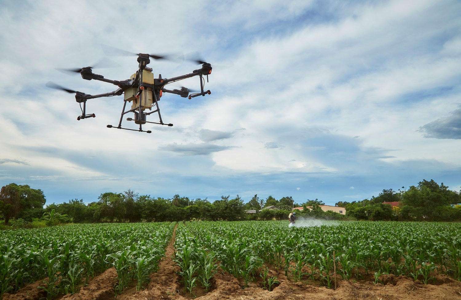 Agriculture - image 1