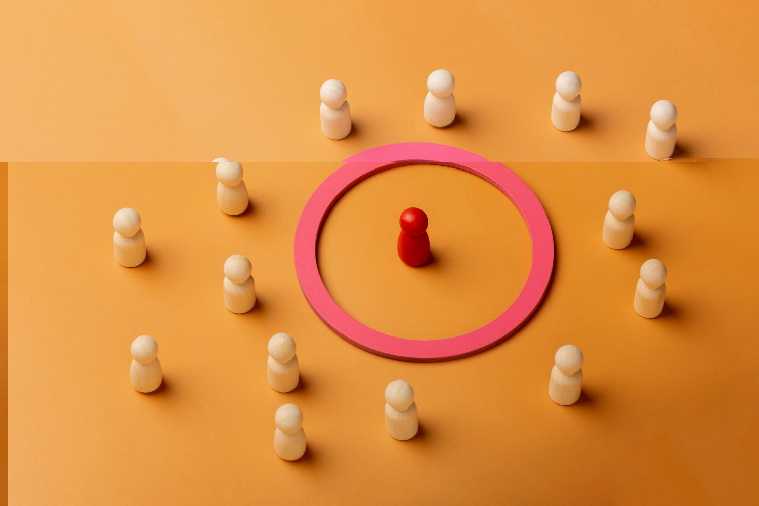  Stand Out from the Crowd - image 1