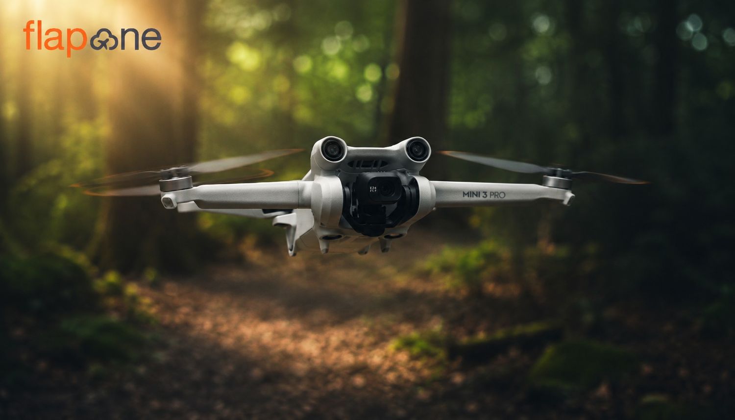 Exploring the DJI Drone Cameras