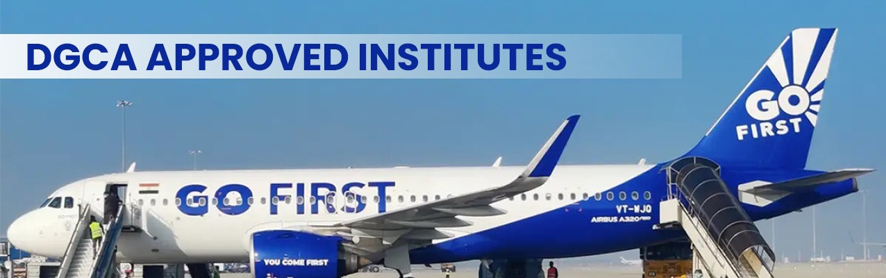  Importance of a DGCA-Approved Flight Training School - image 1