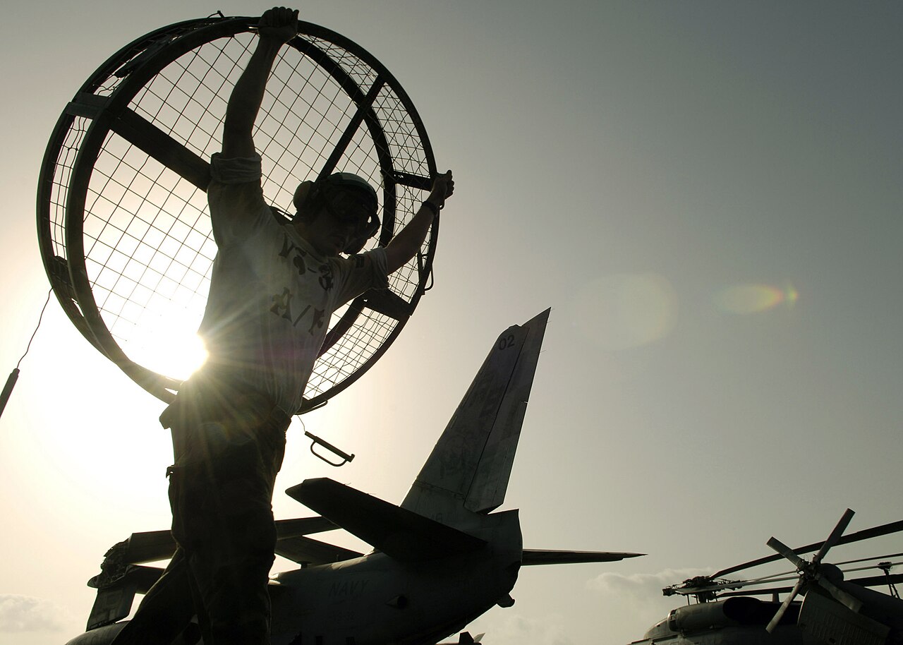 Why Military Aircraft Use Intake Screens - image 1