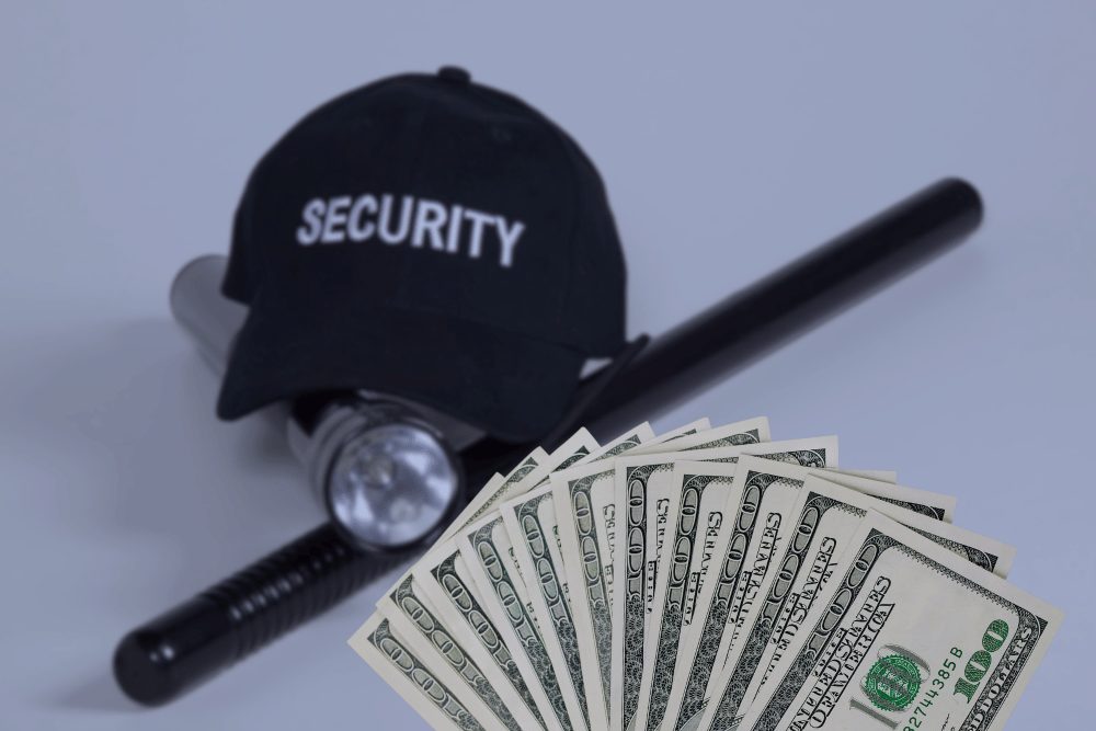 Long-Term Security Costs - image 1