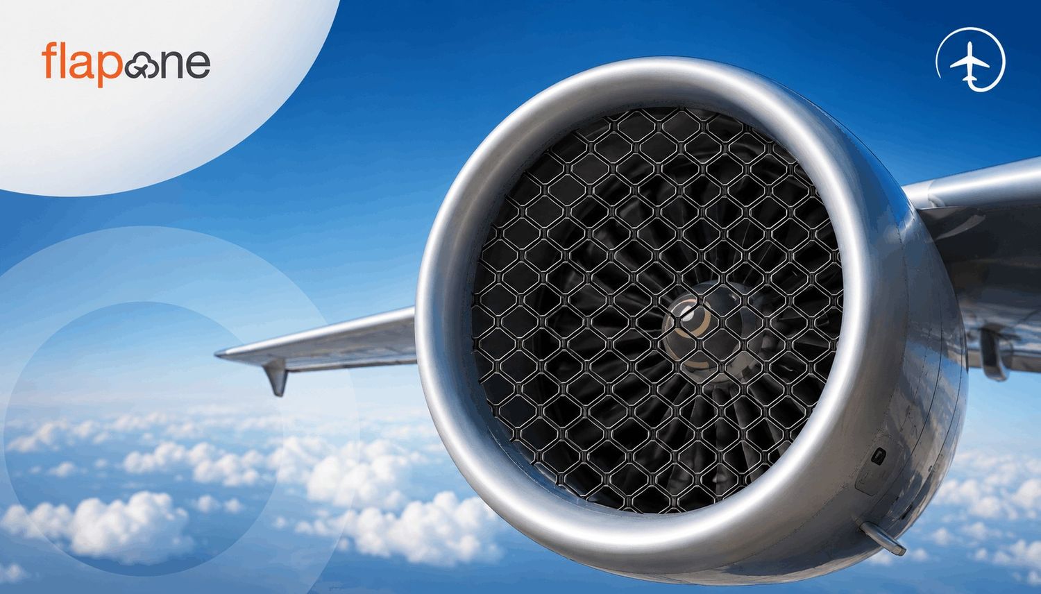 Why a Net or Mesh Is Not Used to Protect Aircraft Engines?