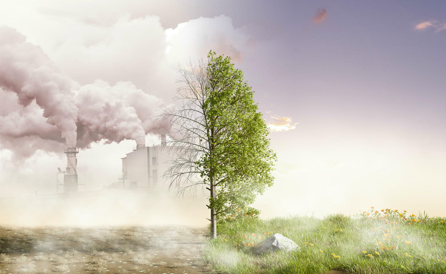 Environmental Impact - image 1