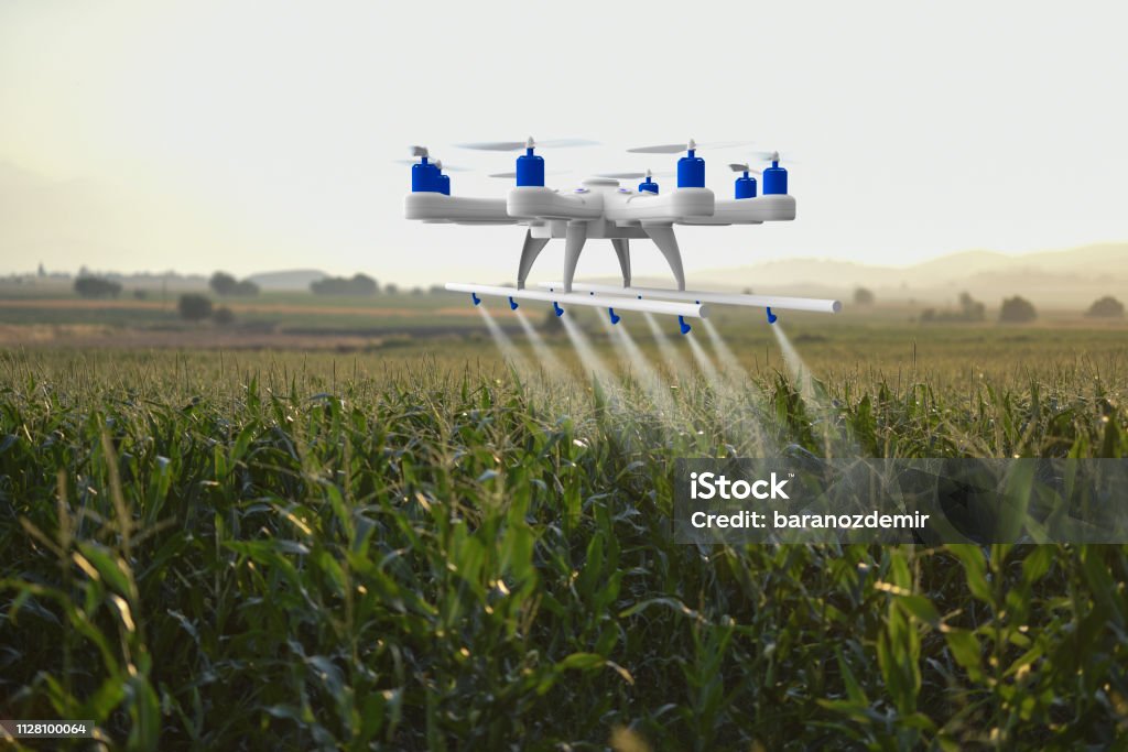 Irrigation and Water Management - image 1