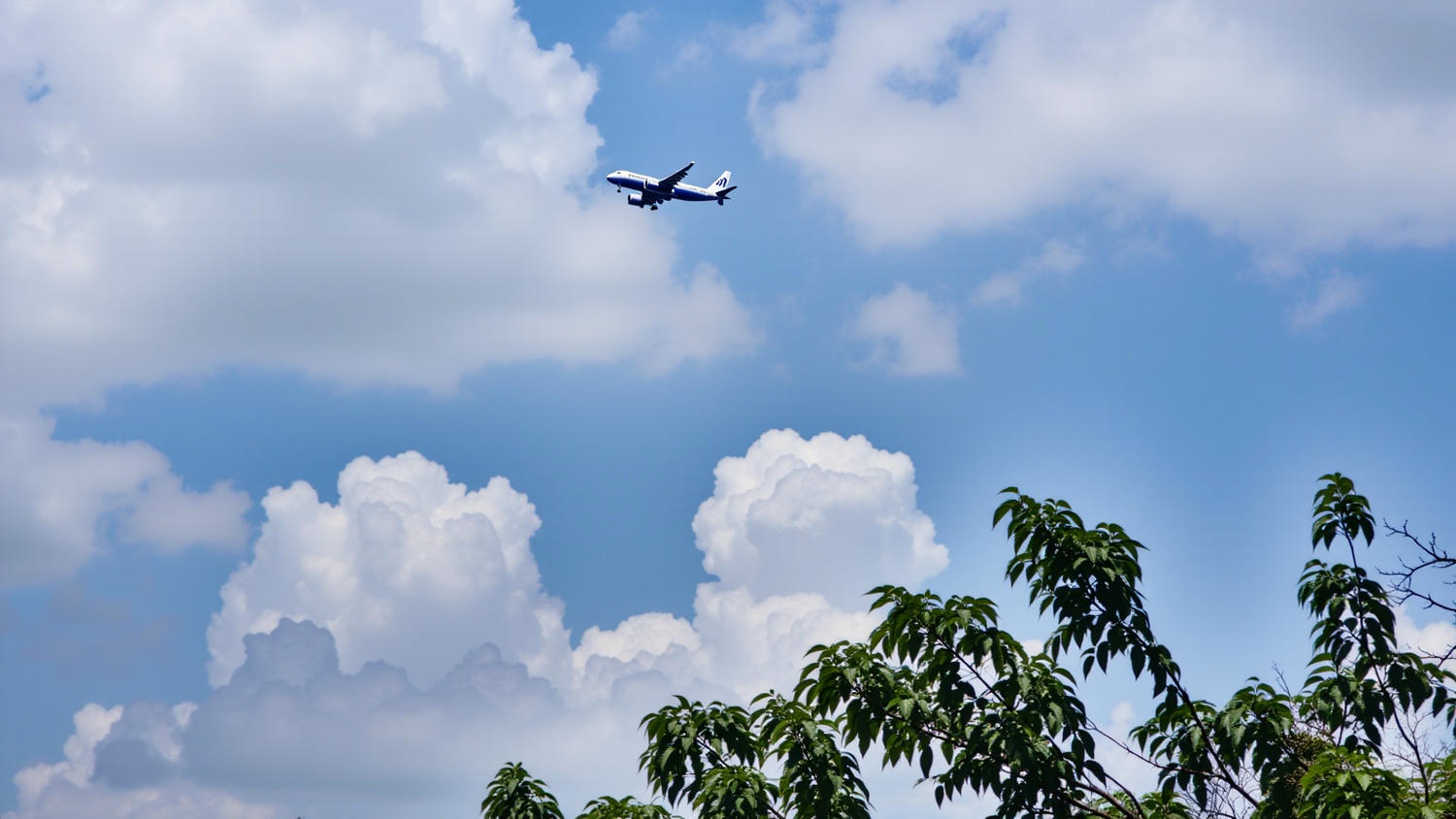 Take Your Family and Friends on Scenic Flying Trips - image 1