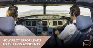 Pilot Error - image 1