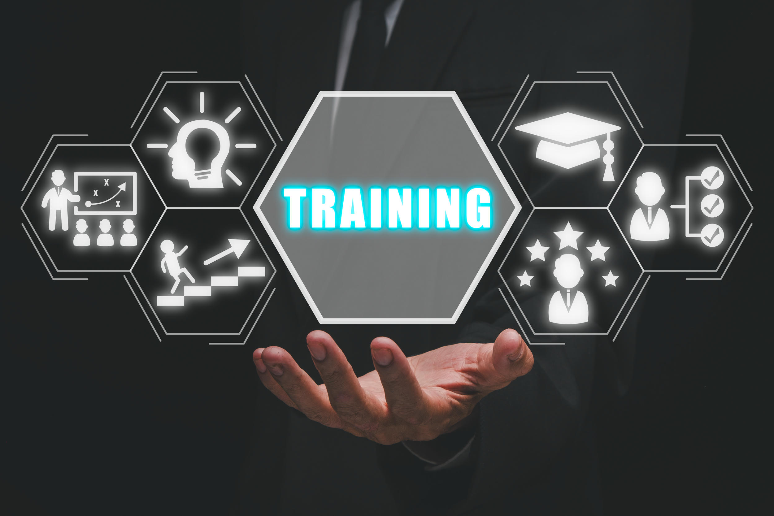 Training Institutions Role - image 1